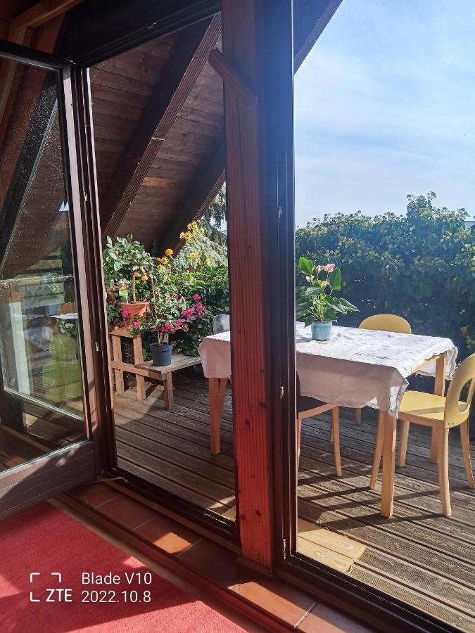 Ferienwohnung Zur Kirschblute Feketeváros Kültér fotó