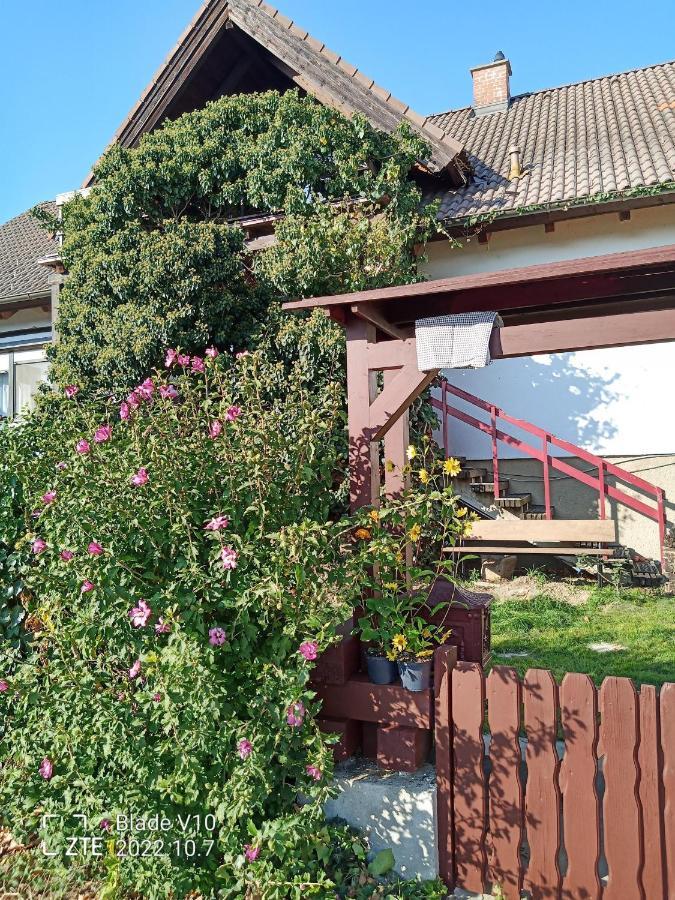 Ferienwohnung Zur Kirschblute Feketeváros Kültér fotó